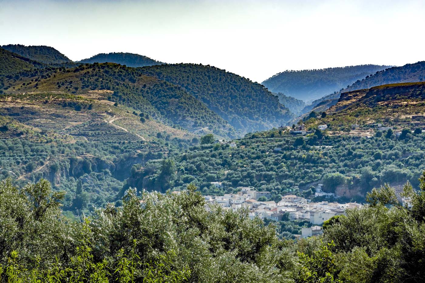 View of Albunuelas village
